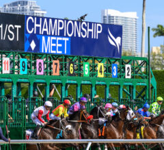 Holy Bull Stakes Picks: Gulfstream Park Betting Analysis