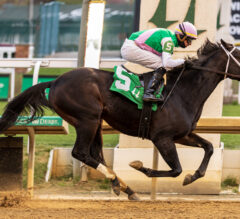 Pegasus World Cup Picks and Preview 2026 | Cox Duo Looms Large in Major Race