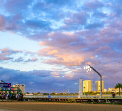 Disco Time Leads Pegasus World Cup Field; Turf Races Draw Competitive Groups