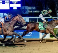 Triple Crown 2026 Racing Dudes Fantasy League Update: Golden Tempo Takes Home Lecomte Stakes Victory