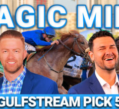 Pegasus World Cup Preview & FREE Pick 5 Bets | The Magic Mike Show 613