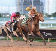 Skippylongstocking Finally Breaks Through With Pegasus Victory at Gulfstream Park