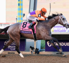 Top 60 Three-Year-Old Prospects on the Road to the 2026 Kentucky Derby