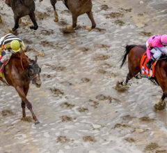 The Effects of Weather and Track Conditions on Horse Racing Betting Angles