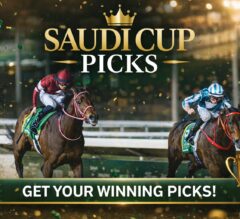 Saudi Cup FREE Picks Are Live — Premium Locked & Loaded