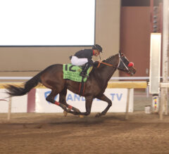 Sunland Derby 2026 Picks and Preview | Kentucky Derby Prep Race