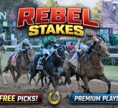 Rebel Stakes Headlines Sunday at Oaklawn Park: Free Picks & Premium Selections Available Now