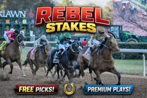 rebel stakes 2026 article preview image
