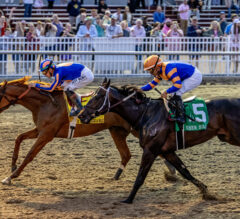 Which Horses Head into the 2026 American Triple Crown Season with the Most Hype?