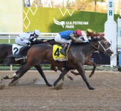Commandment Proves His Class with Gritty Florida Derby Score