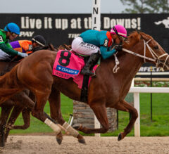 The Puma Pounces in Tampa Bay Derby, Punches Ticket to Kentucky Derby