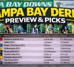 Tampa Bay Derby 2026 Picks and Preview | Kentucky Derby Prep Race