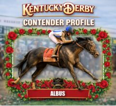 Albus 2026 Kentucky Derby Profile, Odds, Analysis & Past Performances
