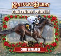 Chief Wallabee 2026 Kentucky Derby Profile, Odds, Analysis & Past Performances