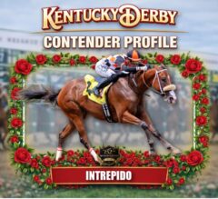Intrepido 2026 Kentucky Derby Profile, Odds, Analysis & Past Performances