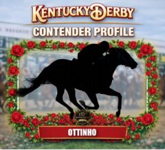 Ottinho 2026 Kentucky Derby Profile, Odds, Analysis & Past Performances