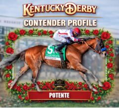 Potente 2026 Kentucky Derby Profile, Odds, Analysis & Past Performances