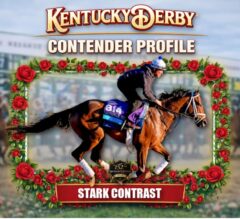 Stark Contrast 2026 Kentucky Derby Profile, Odds, Analysis & Past Performances