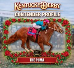The Puma 2026 Kentucky Derby Profile, Odds, Analysis & Past Performances