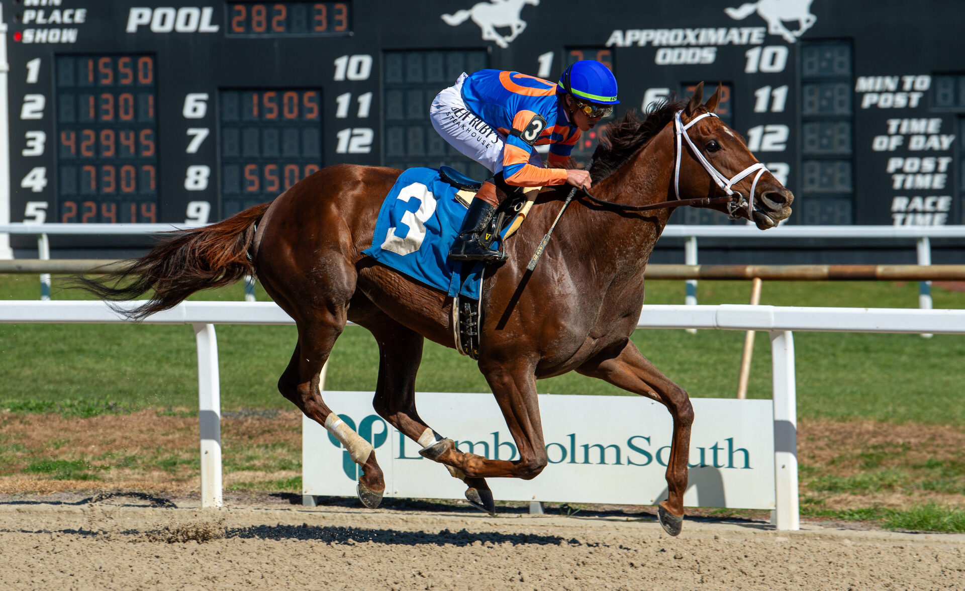 Zany Installed as Lukewarm 4-1 Favorite in Loaded 2026 Kentucky Oaks ...