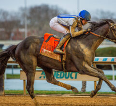 Albus Punches Derby Ticket with Wood Memorial Win