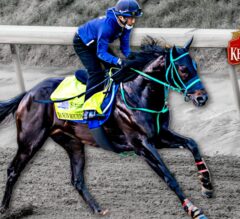 Jon White’s 2026 Kentucky Derby Picks & Comments