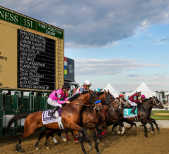 2026 Preakness Stakes Odds, Picks & Post Positions: Full Field Drawn at Laurel Park
