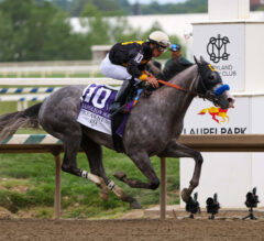 Napoleon Solo Gives Summers First Triple Crown Win in Historic Preakness Victory
