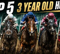Top 5 Three-Year-Old Horses Right Now | Updated 2026 Rankings