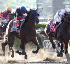 Which Horses Have Won the Belmont Stakes Despite Missing Both the Kentucky Derby and the Preakness?