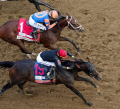 Golden Tempo’s Derby Rally Changed the Entire Preakness Picture