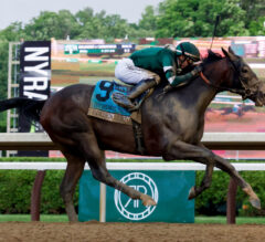Golden Tempo Delivers Again in Belmont Stakes Triumph at Saratoga