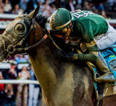 Golden Tempo Divides Racing Dudes Team in Latest NTRA Top 10 Thoroughbred Poll