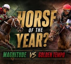 Magnitude vs. Golden Tempo: The Horse of the Year Debate Is Officially On
