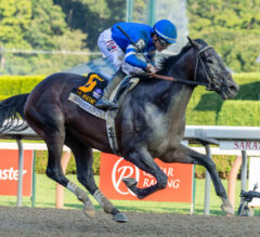 Breeders’ Cup Classic 2026 Contenders