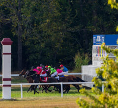Horse Racing Is Changing. What Does That Mean for Sports Betting?