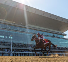 Forever Young Tops 2026 Breeders’ Cup Classic Rankings After Jockey Club Gold Cup Win