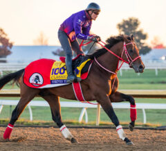 2026 Breeders’ Cup Classic: Forever Young Headlines Star-Studded Field of Eight