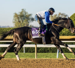 Breeders’ Cup Classic 2026: Knightsbridge, Napoleon Solo Confirmed; Further Ado Heads to Dirt Mile