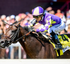 Breeders’ Cup Sprint 2026: Can Englishman Overcome a Trend That Has Crushed Front-Runners?